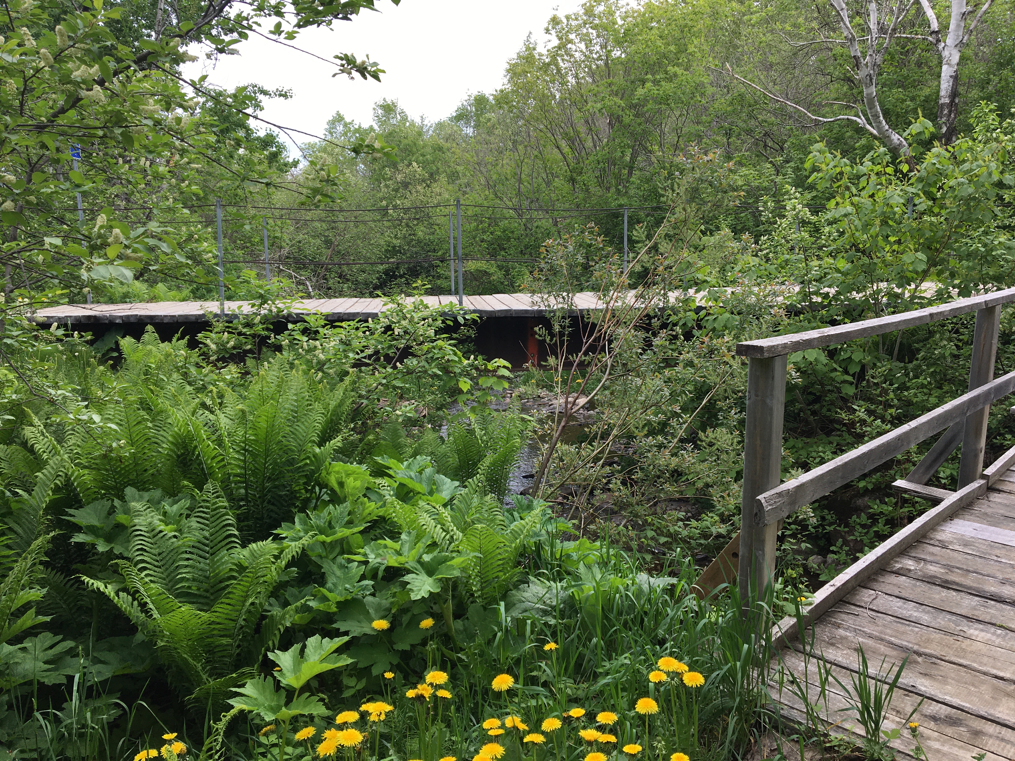 Parc du ruisseau Lebrun été 2021