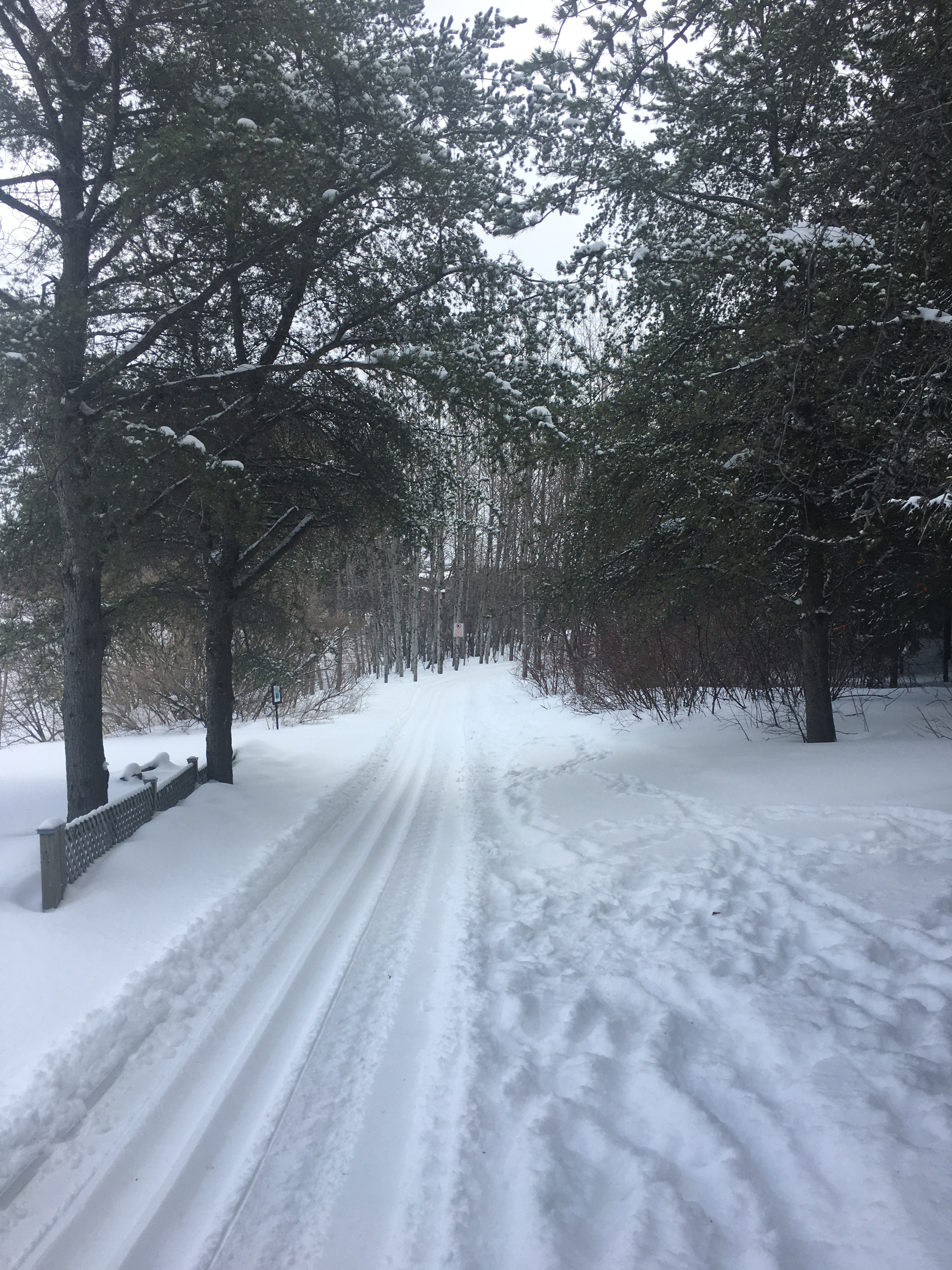 piste de ski de fond