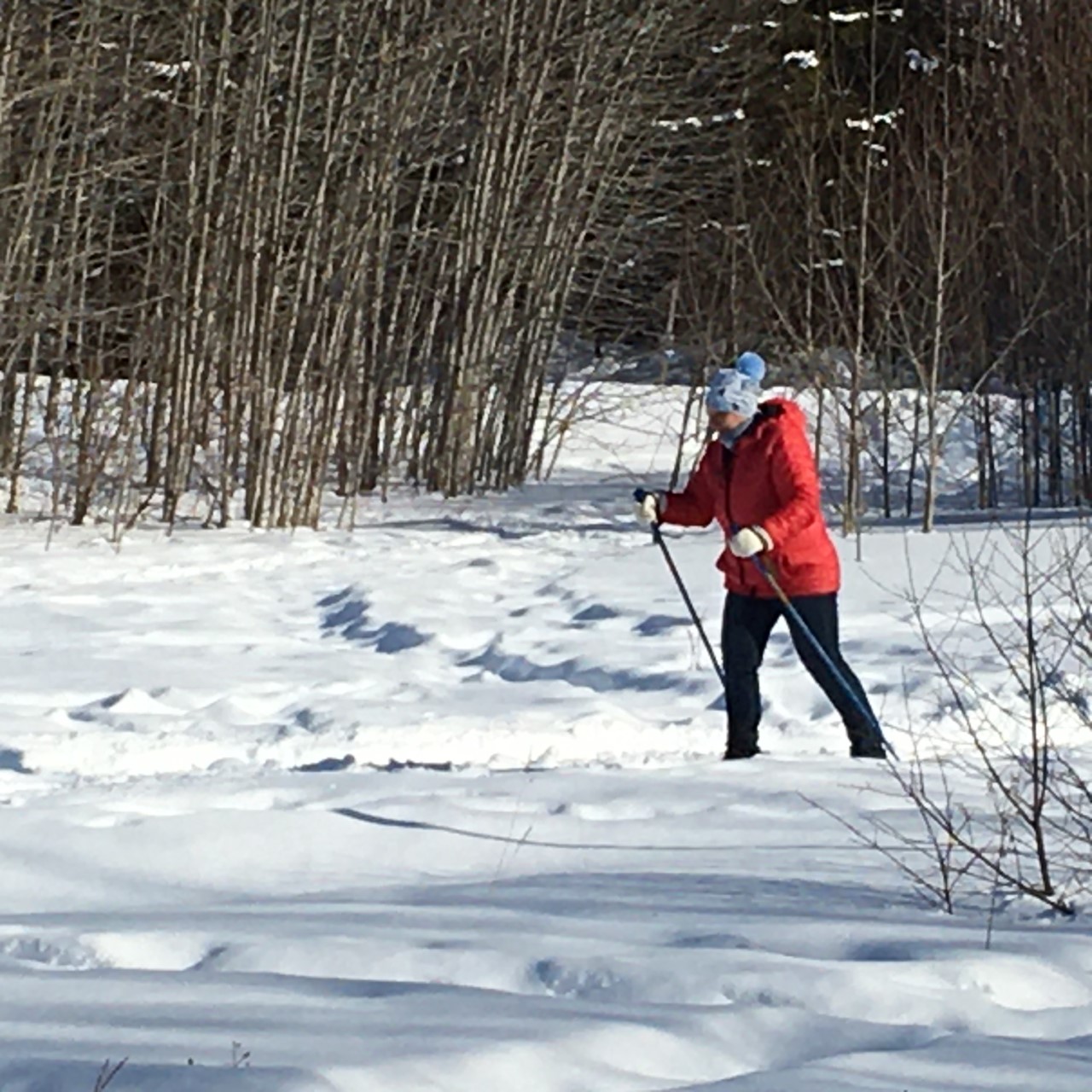 relâche ski de fond